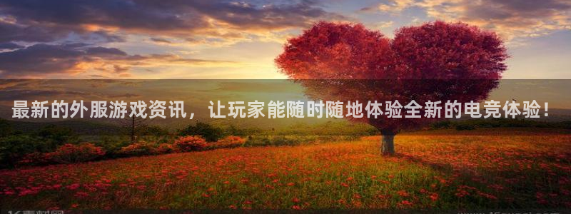 辉达娱乐线路测试