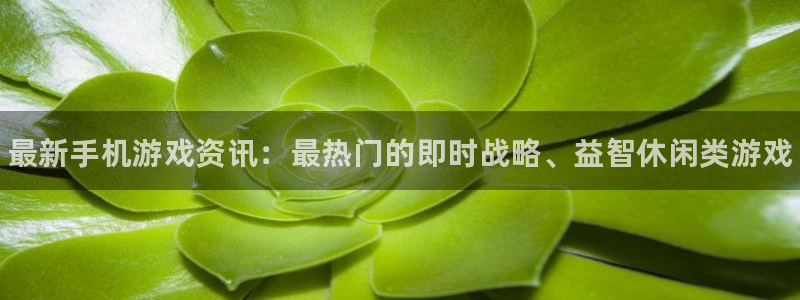 辉达娱乐平台官网登录：最新手机游戏资讯：最热门的即时战略、益
