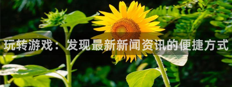 辉达娱乐