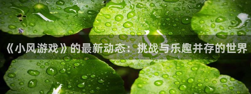 辉达娱乐平台注册：《小风游戏》的最新动态：挑战与乐趣并存的世