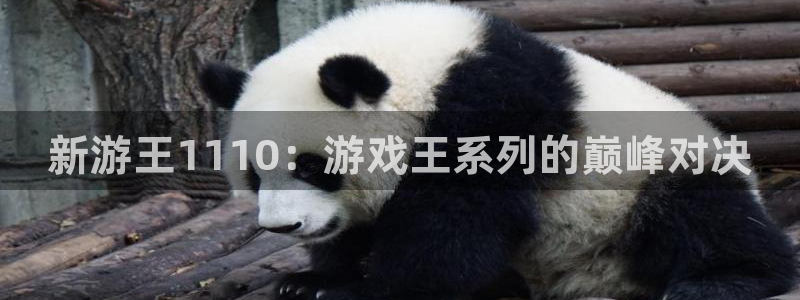 辉达娱乐登陆测速：新游王1110：游戏王系列的巅峰对决