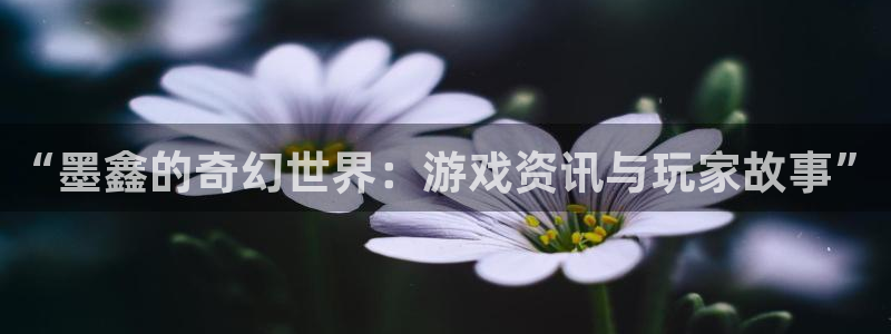 辉达娱乐官网：“墨鑫的奇幻世界：游戏资讯与玩家故事”