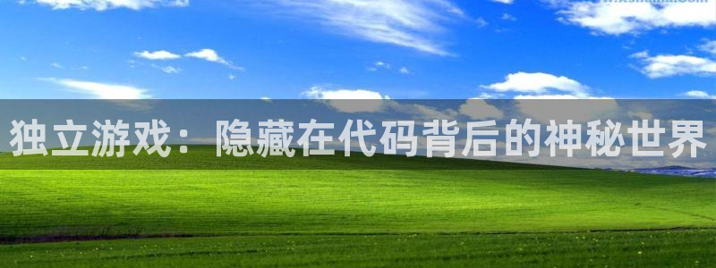 辉达娱乐官方注册登录：独立游戏：隐藏在代码背后的神秘世界