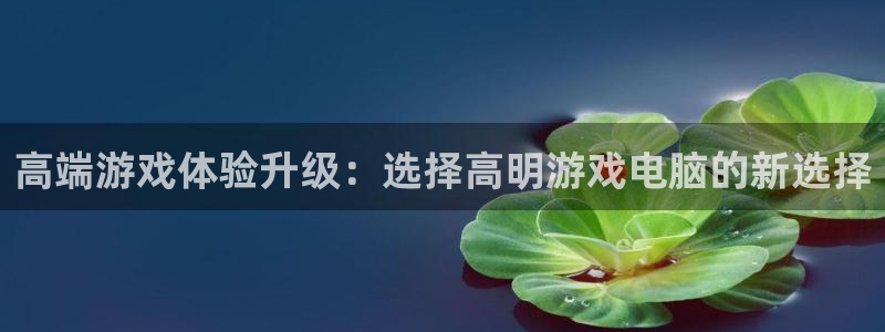 辉达娱乐注册地址：高端游戏体验升级：选择高明游戏电脑的新选择