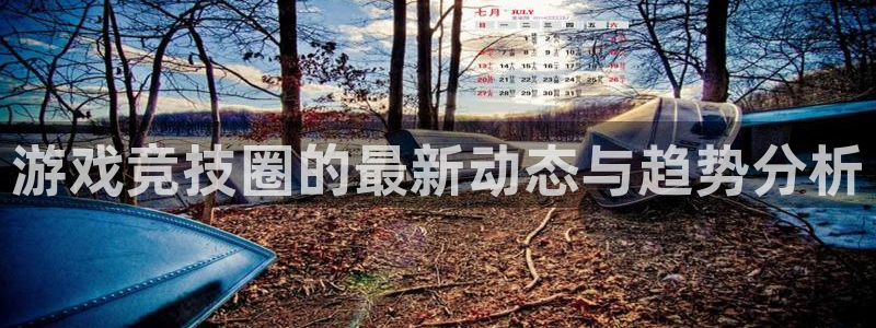 辉达娱乐平台注册资金多少：游戏竞技圈的最新动态与趋势分析